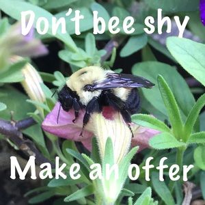 🐝 Buzz on in!  The Offer button is waiting! 🐝